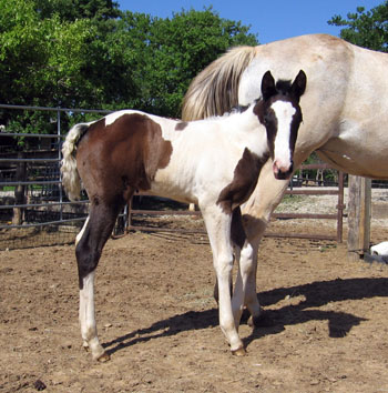 picture at 12 days old