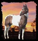Cherokee Sunrise