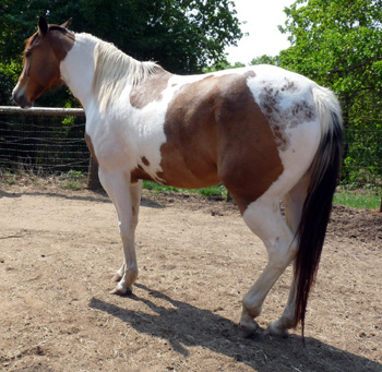 Lexsey April 2011
