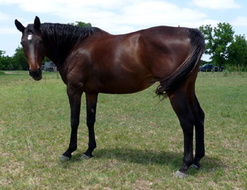 rosie  May 2010