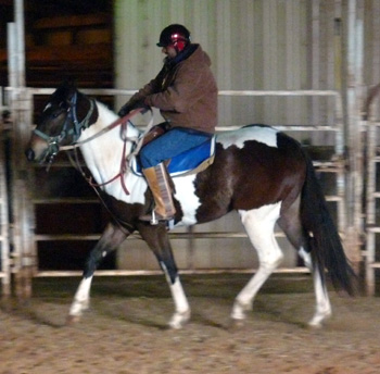 Shes-Riding Feb 2012