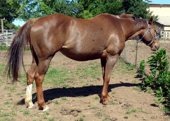 Unchained May 2010